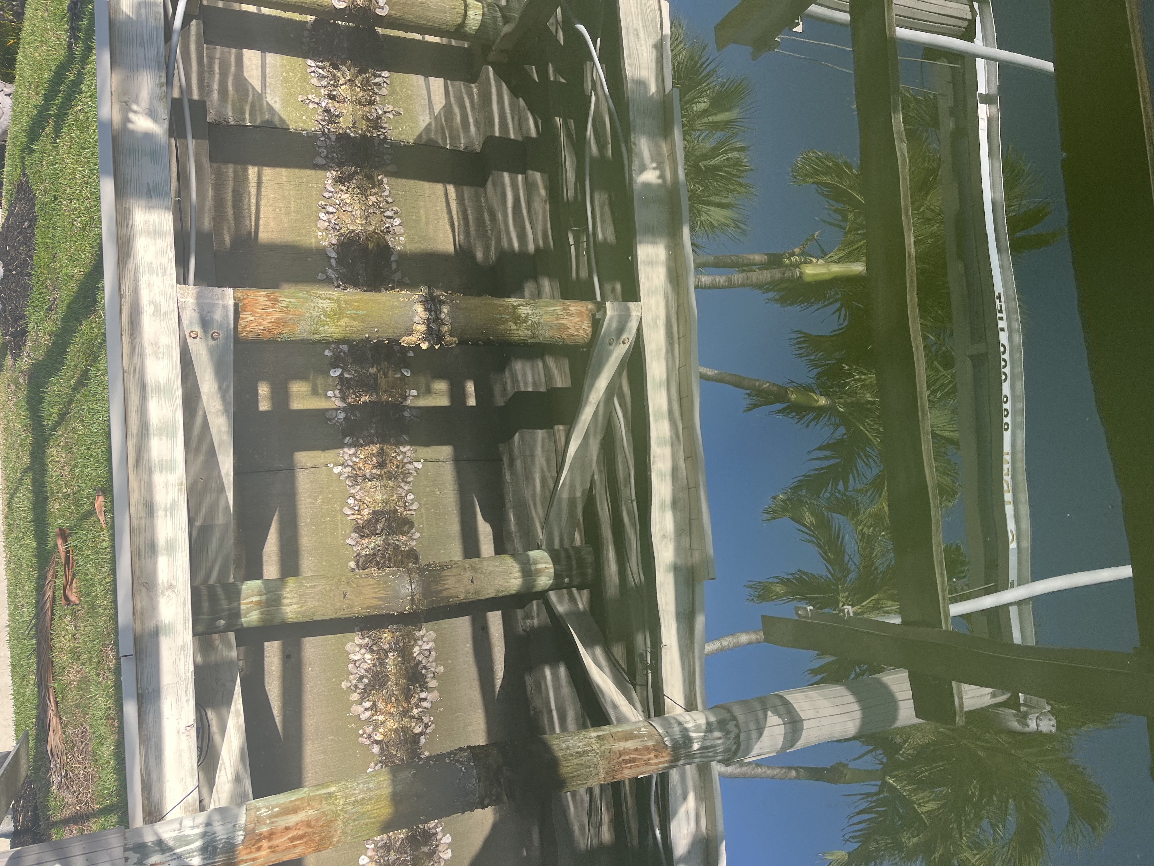 Before cleaning - algae buildup